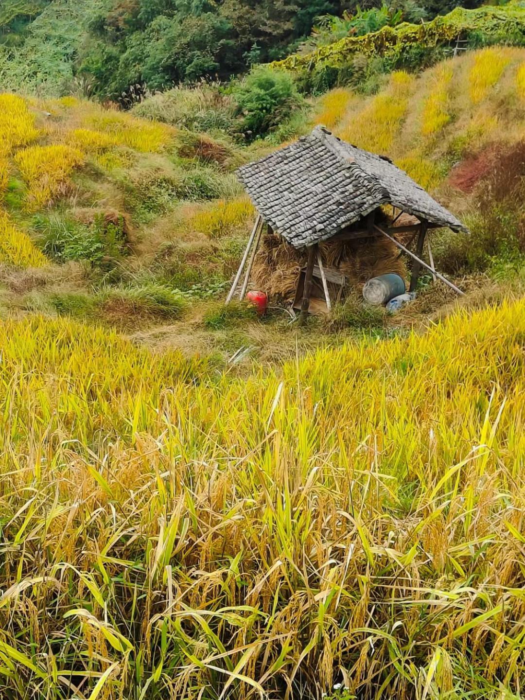 Helen'S Cozy Inn Longsheng Eksteriør bilde